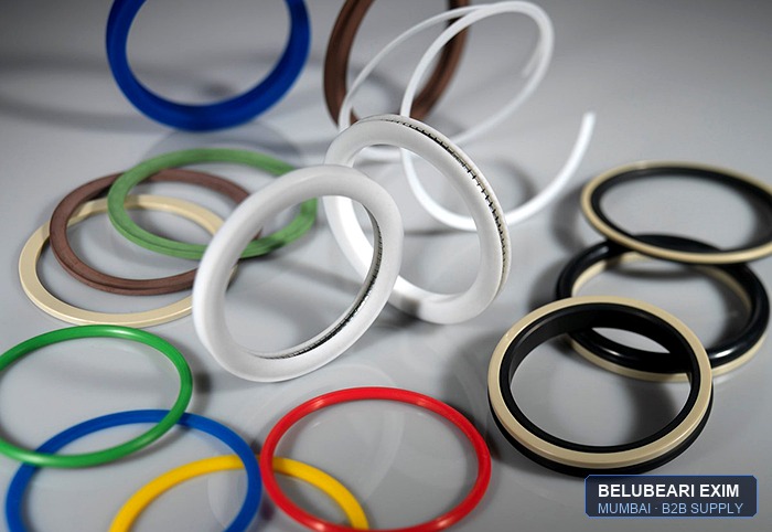 Seals & O Ring Variant